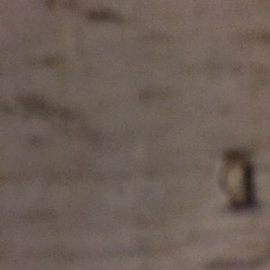 Meet your Posher, Gary